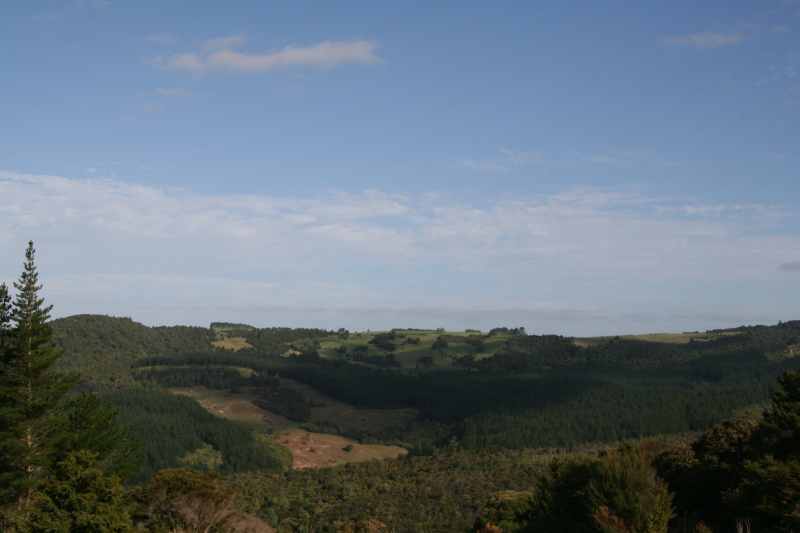 Nieuw-Zeeland 2011 - 0279